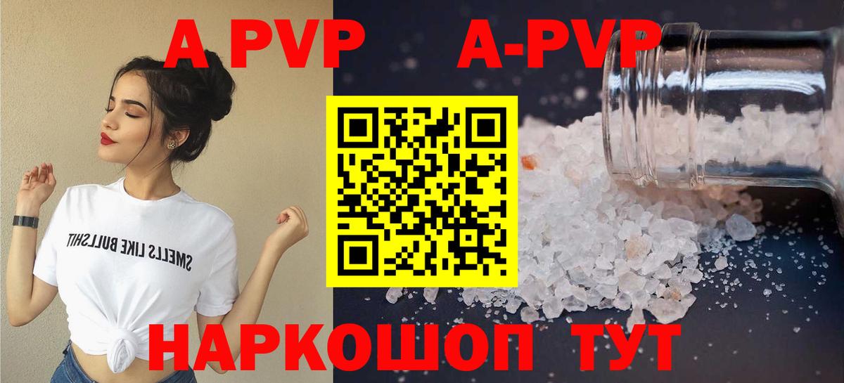 A PVP СК КРИС Будённовск