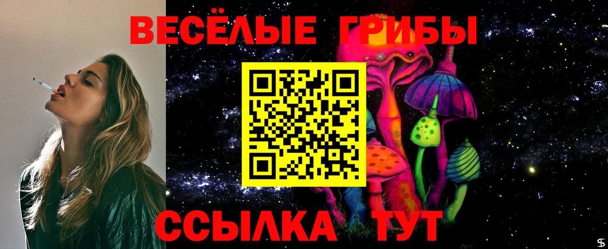 Псилоцибиновые грибы Psilocybe Будённовск
