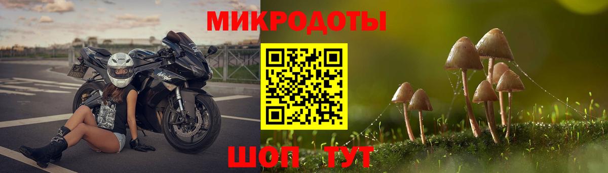 Будённовск  Псилоцибиновые грибы GOLDEN TEACHER  Галлюциногенные грибы MAGIC MUSHROOMS  Вход с VPN 